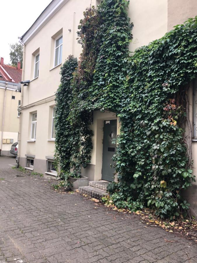 Apartament Angel House Vilnius, Dysnos Zewnętrze zdjęcie